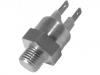 Interruptor de temperatura Temperature Switch:32866410